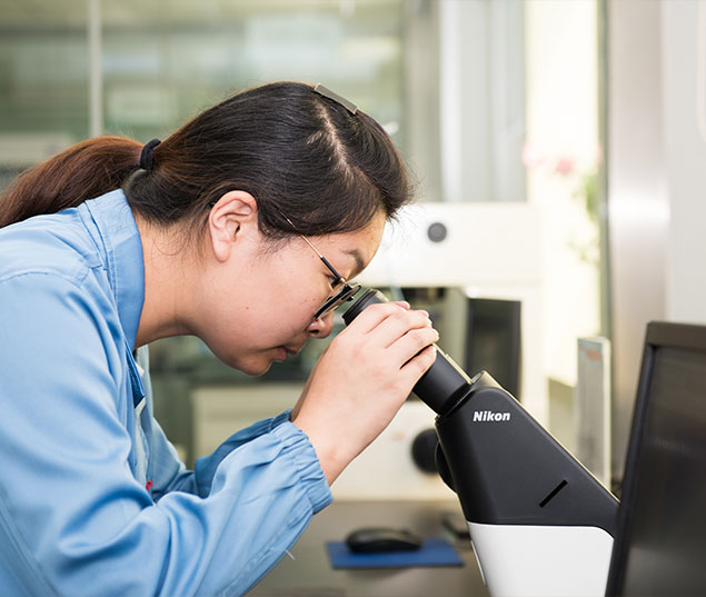 Z6·尊龙凯时「中国」官方网站