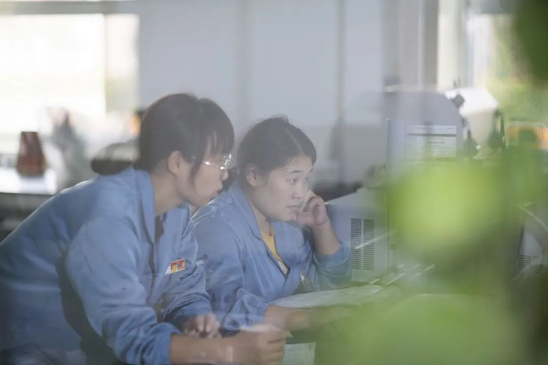 Z6·尊龙凯时「中国」官方网站