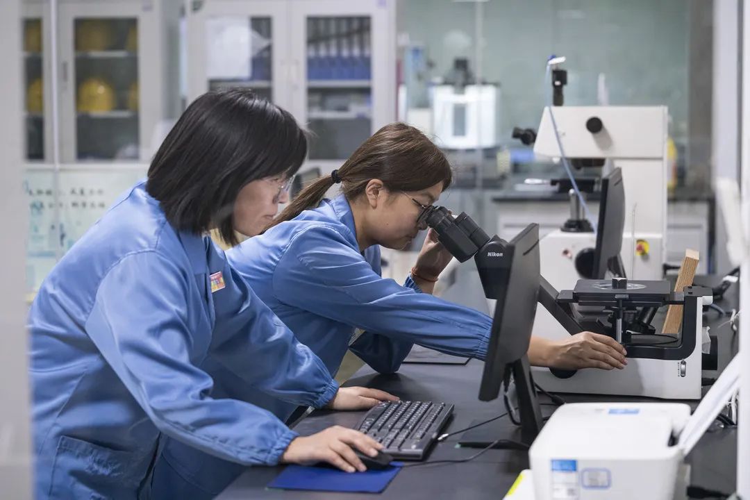 Z6·尊龙凯时「中国」官方网站