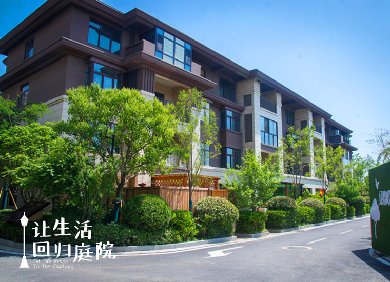 前后张望南阳50年：这样的天井，很难再有了！