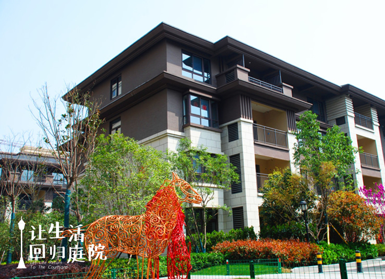 前后张望南阳50年：这样的天井，很难再有了！