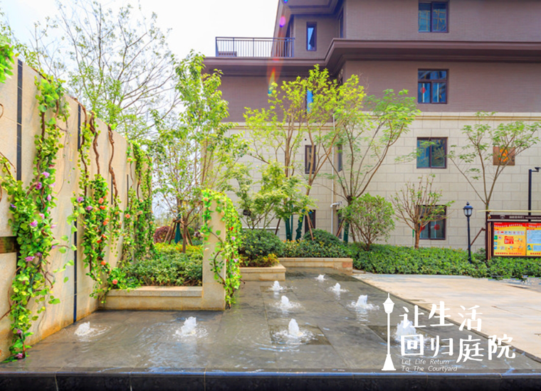 前后张望南阳50年：这样的天井，很难再有了！