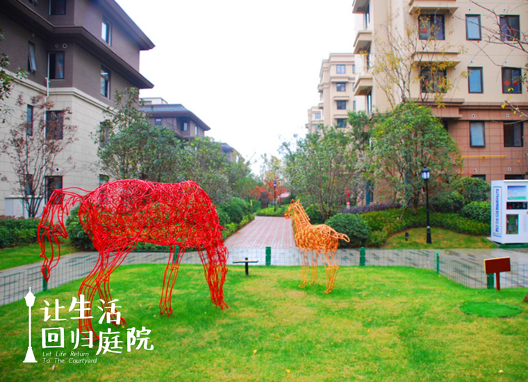 前后张望南阳50年：这样的天井，很难再有了！