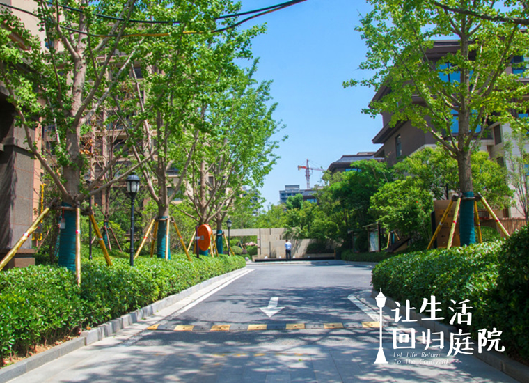 前后张望南阳50年：这样的天井，很难再有了！