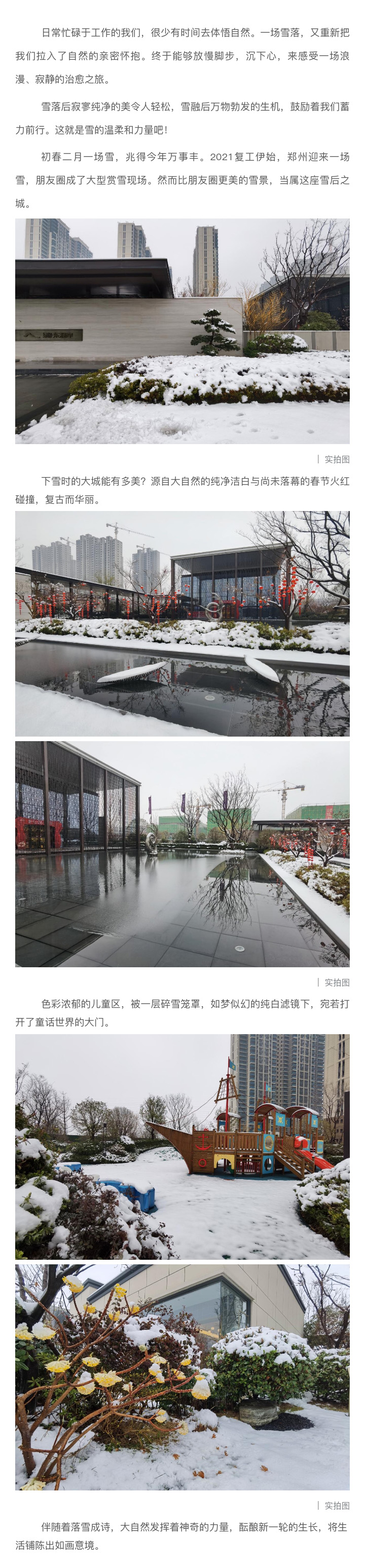 2021浪漫开年，共赏一场鹅毛大雪！