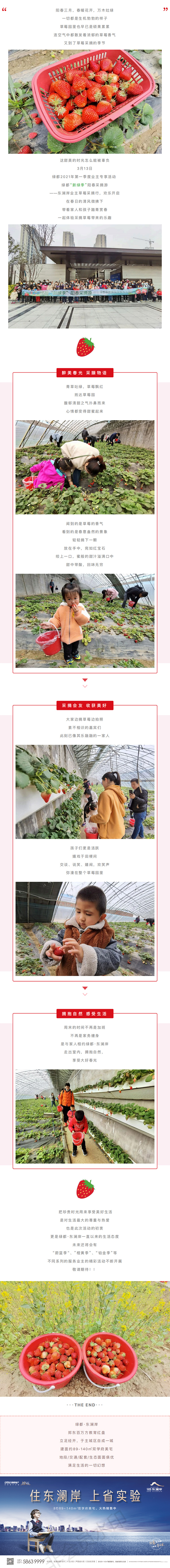 草莓采摘行|“莓”好同业，不负春日好时光