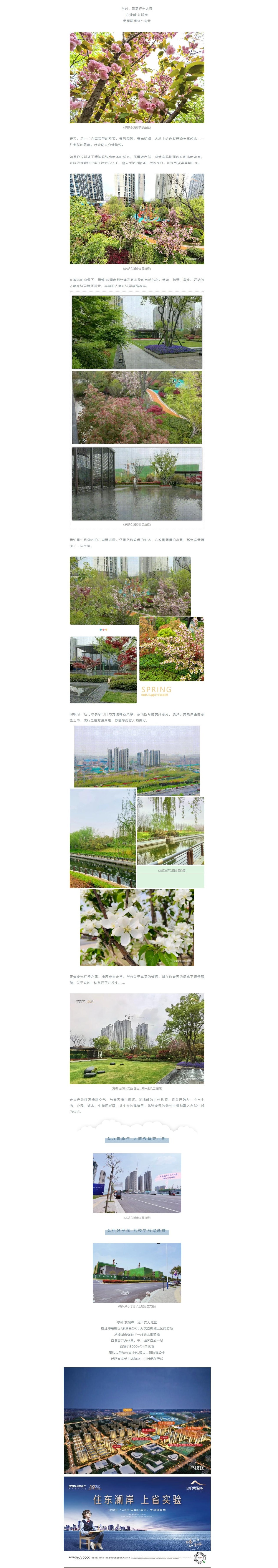 赏花踏青，来一场和春天的约会