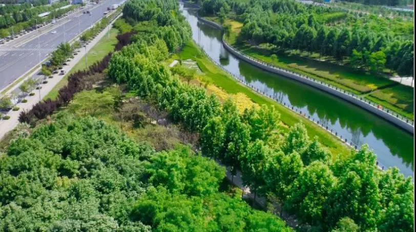 定了！“神兽”线上开学，家里有学生的必看！