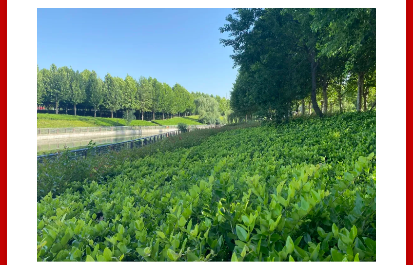 年终薅好房，这个明星红盘把“出圈”进行到底！