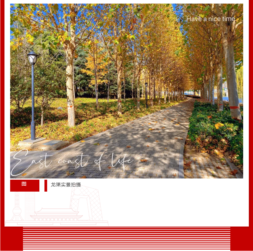 年终薅好房，这个明星红盘把“出圈”进行到底！